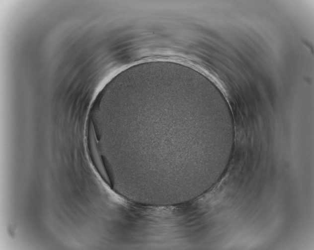 X0000091181533200708161508