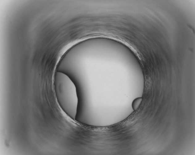 X0000091181535200708161508