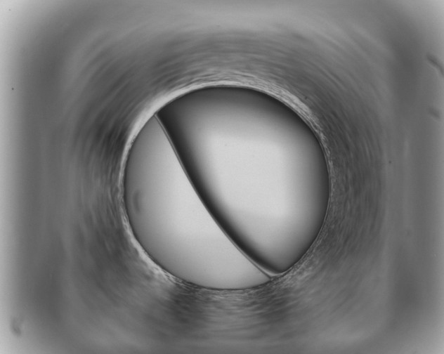 X0000091181536200708161508