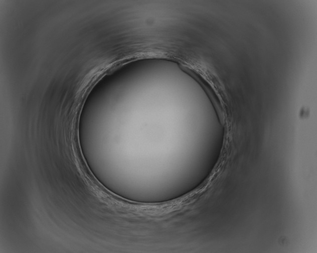 X0000091180001200708231539