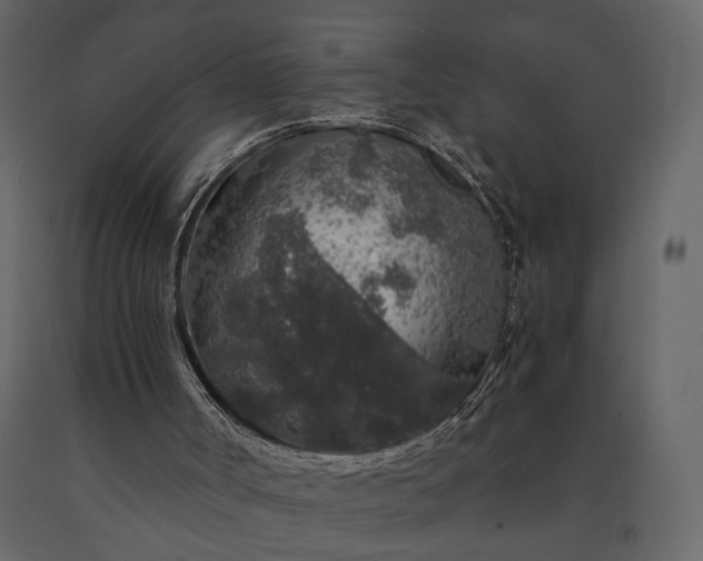 X0000091180002200708231539