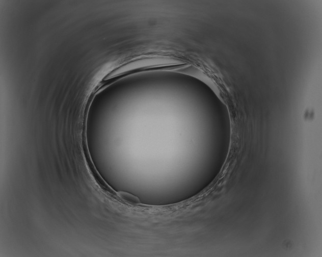 X0000091180003200708231539