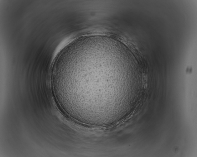 X0000091180004200708231539