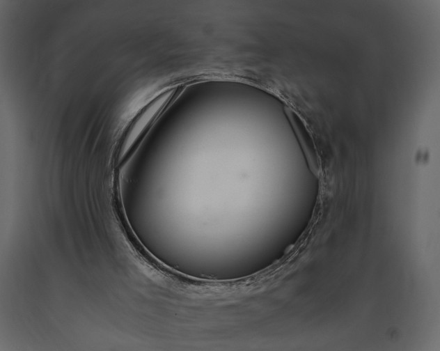 X0000091180005200708231539