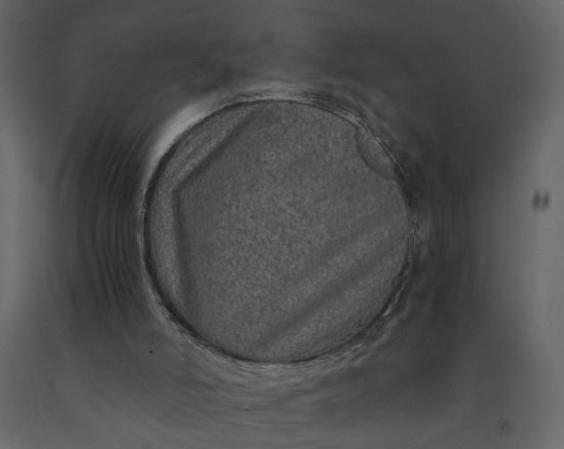 X0000091180006200708231539