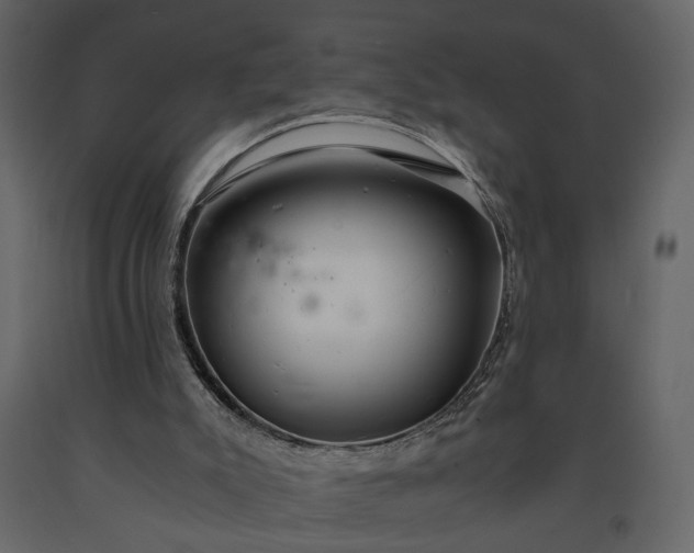 X0000091180007200708231539