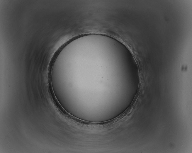 X0000091180008200708231539