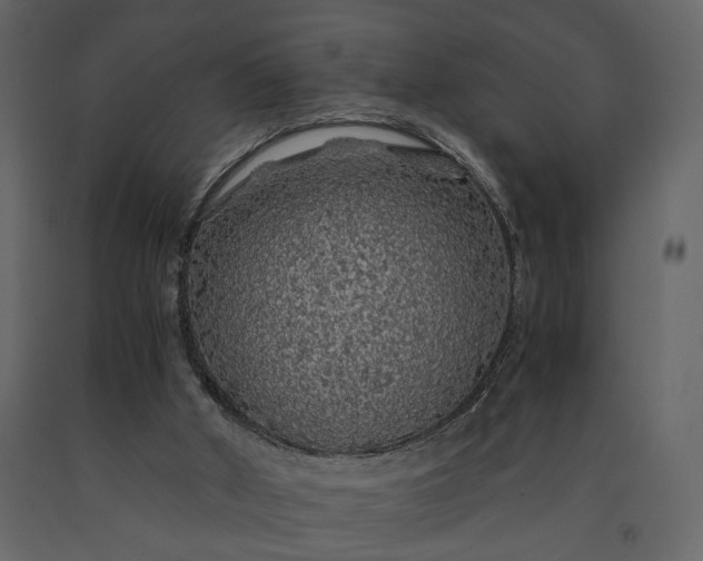 X0000091180010200708231539