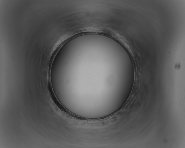 X0000091180011200708231539