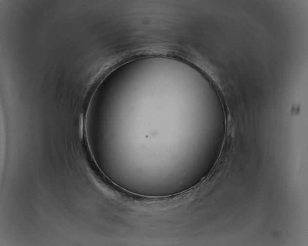 X0000091180013200708231539