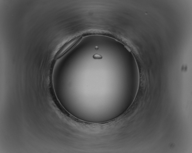 X0000091180015200708231539