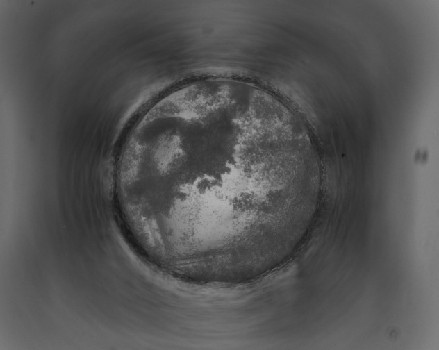 X0000091180016200708231539