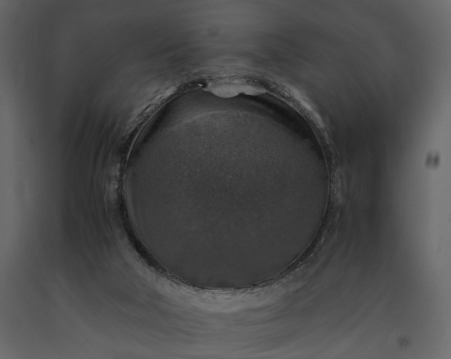 X0000091180018200708231539