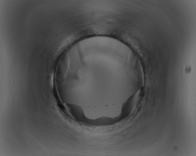 X0000091180019200708231539