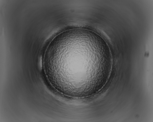 X0000091180020200708231539