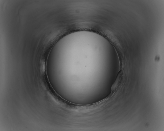 X0000091180021200708231539