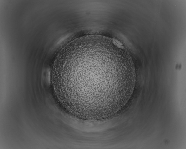 X0000091180022200708231539