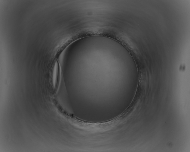 X0000091180023200708231539