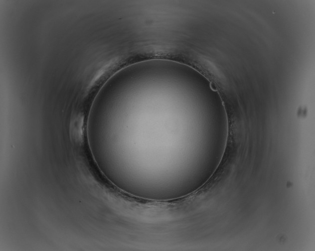 X0000091180024200708231539