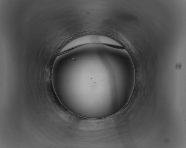 X0000091180025200708231539