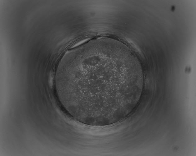 X0000091180026200708231539