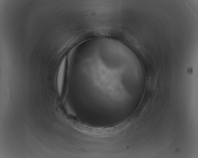 X0000091180027200708231539