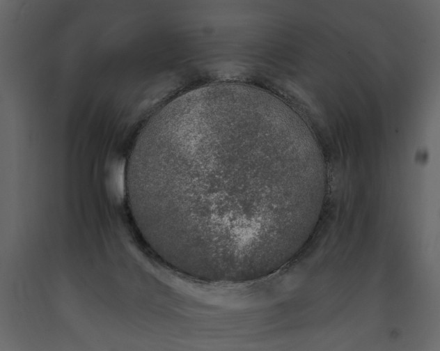 X0000091180028200708231539