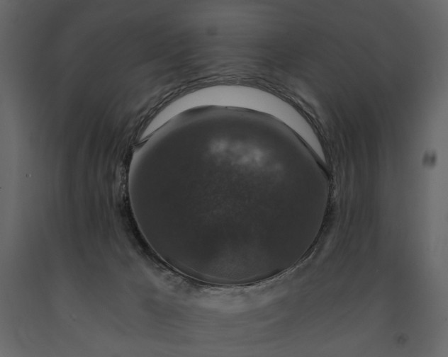 X0000091180029200708231539