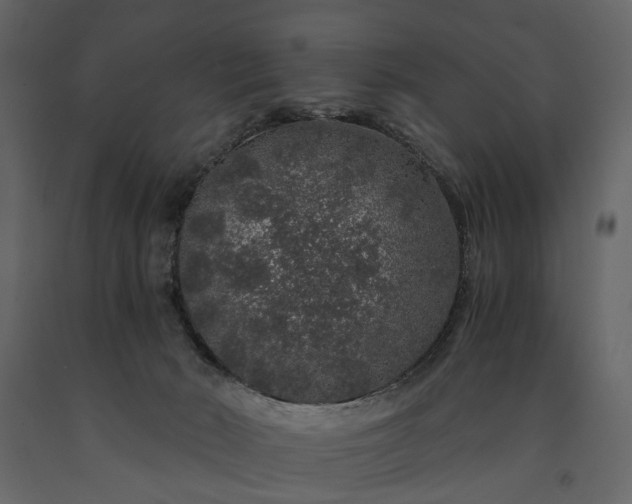 X0000091180030200708231539