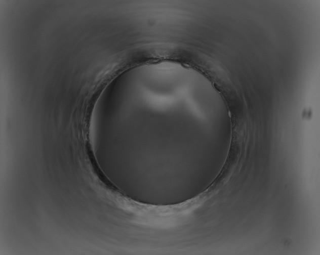 X0000091180031200708231539