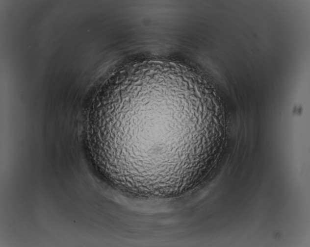 X0000091180032200708231539