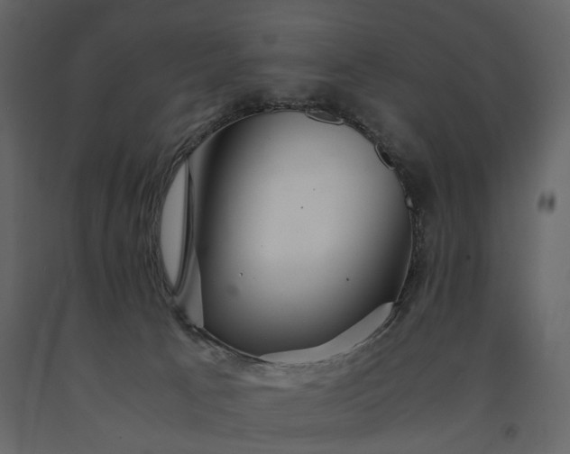 X0000091180033200708231539