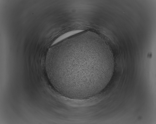 X0000091180034200708231539