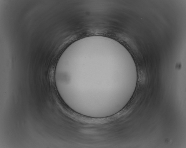 X0000091180036200708231539