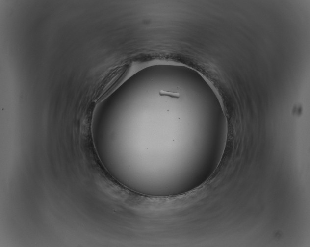 X0000091180037200708231539