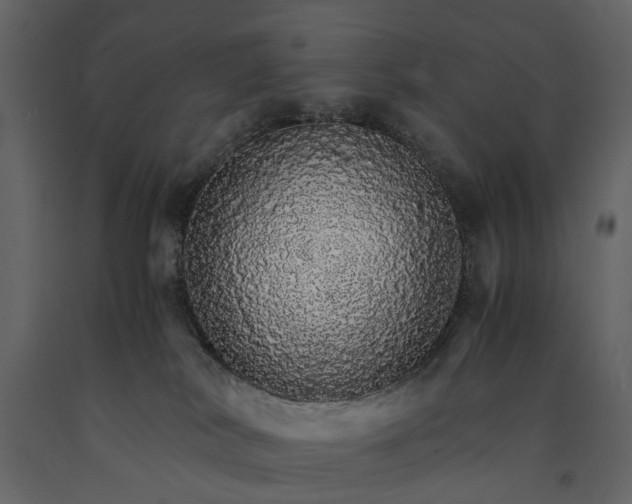 X0000091180038200708231539