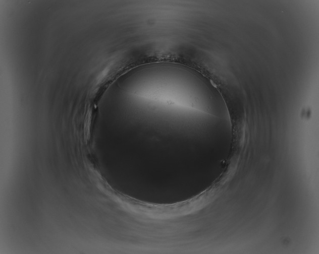 X0000091180039200708231539