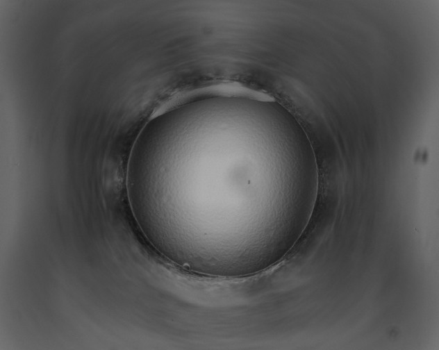 X0000091180040200708231539