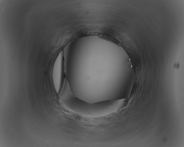 X0000091180041200708231539