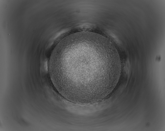 X0000091180042200708231539