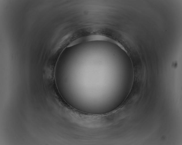 X0000091180044200708231539