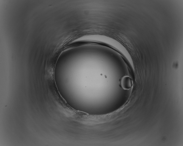 X0000091180045200708231539