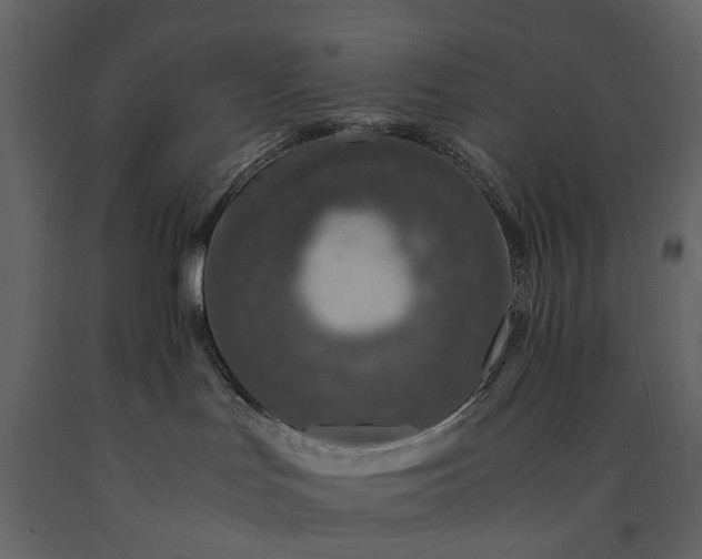 X0000091180047200708231539