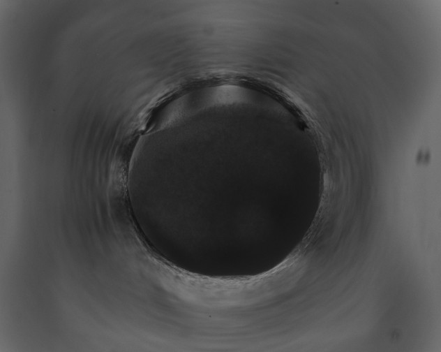 X0000091180048200708231539