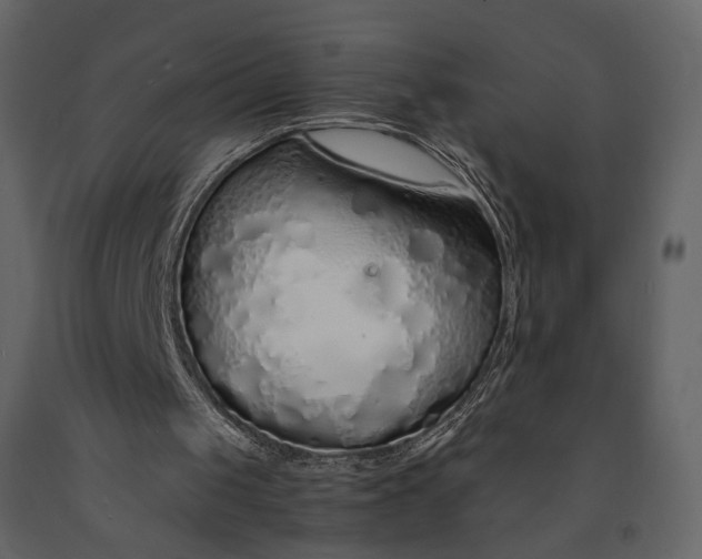 X0000091180049200708231538