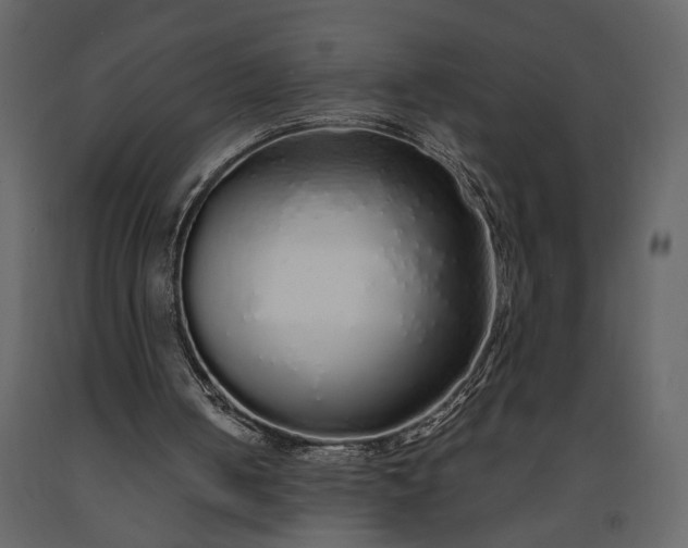 X0000091180050200708231538