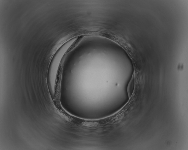 X0000091180051200708231538