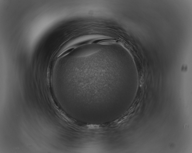 X0000091180052200708231538