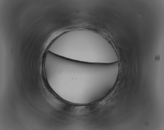 X0000091180054200708231538