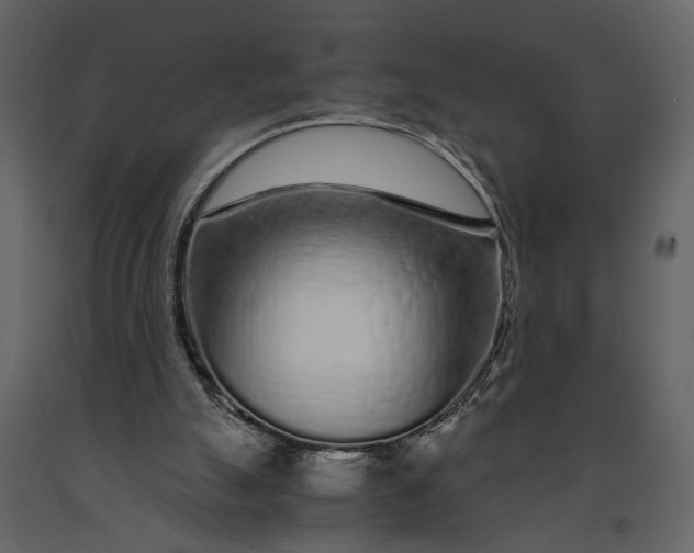 X0000091180055200708231538